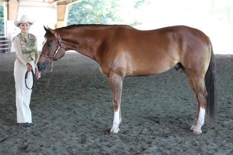 cz2f3644.jpg